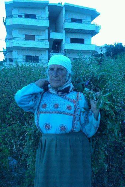 أم نوفل أم نوفل