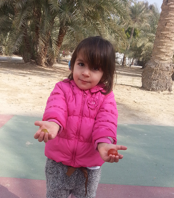 Bahrain Farmers Market Bahrain Farmers Market