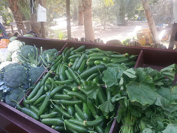 Bahrain Farmers Market Bahrain Farmers Market