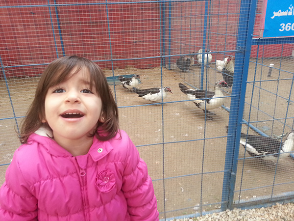 Bahrain Farmers Market Bahrain Farmers Market